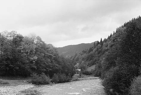 фото: Батар